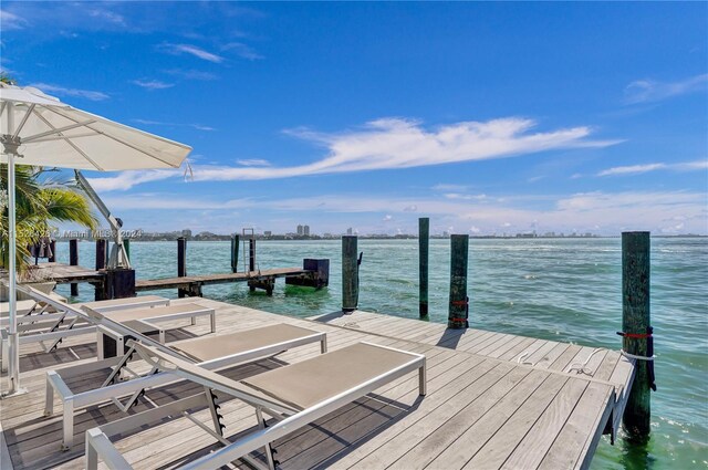 dock area featuring a water view