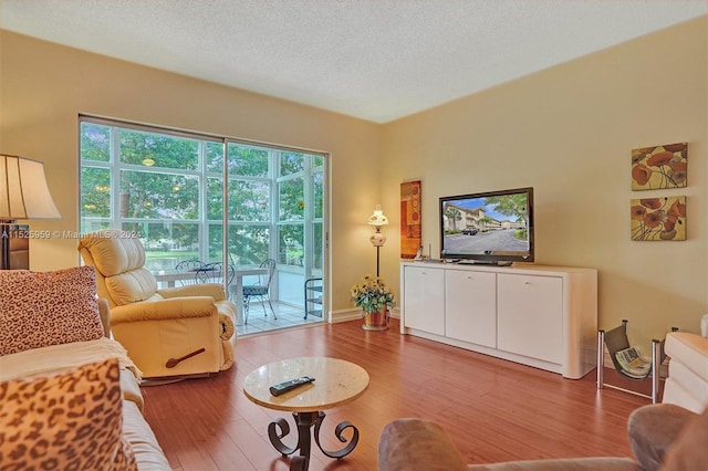 living room featuring hardwood / wood-style floors and a textured ceiling