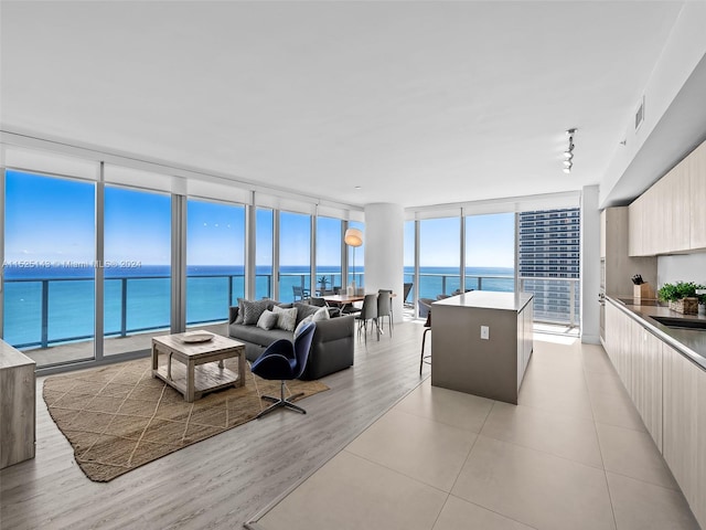 living room with a water view, expansive windows, and light wood-type flooring