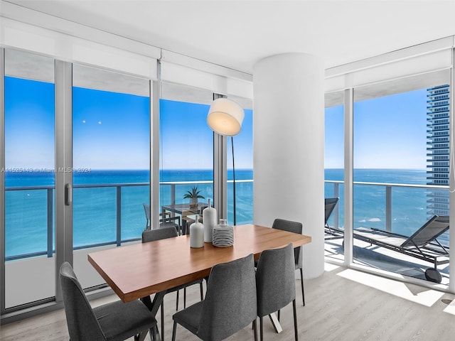 dining room with light hardwood / wood-style floors, a wealth of natural light, and a water view