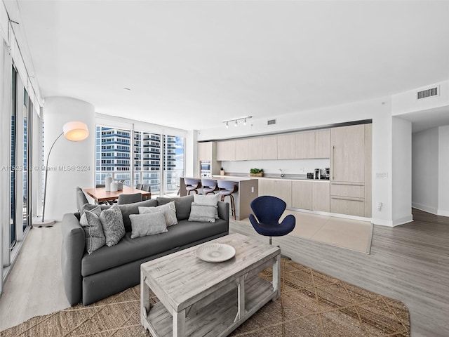 living room featuring a wall of windows, light hardwood / wood-style flooring, and track lighting