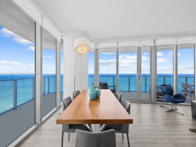 interior space featuring light hardwood / wood-style floors and a water view