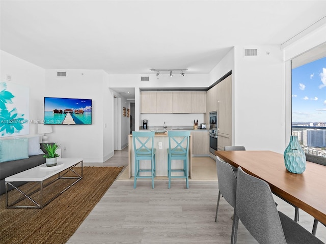 interior space with light hardwood / wood-style flooring and rail lighting