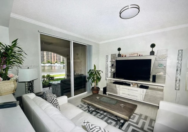 living room featuring a textured ceiling and crown molding