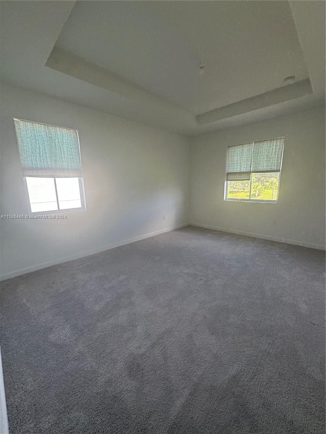 carpeted empty room with a tray ceiling and plenty of natural light