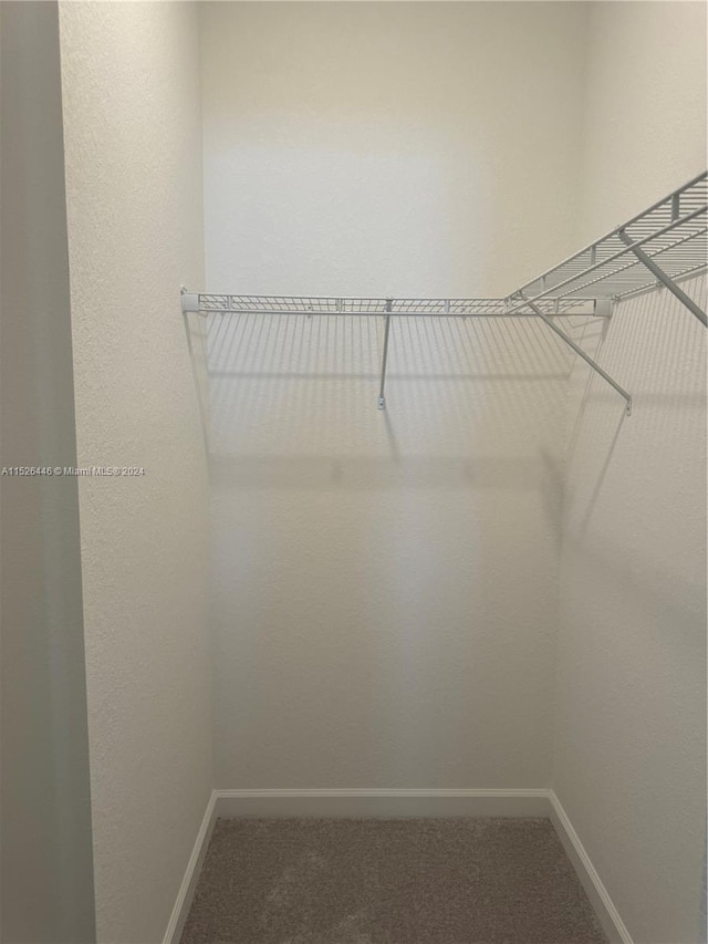 walk in closet featuring carpet floors