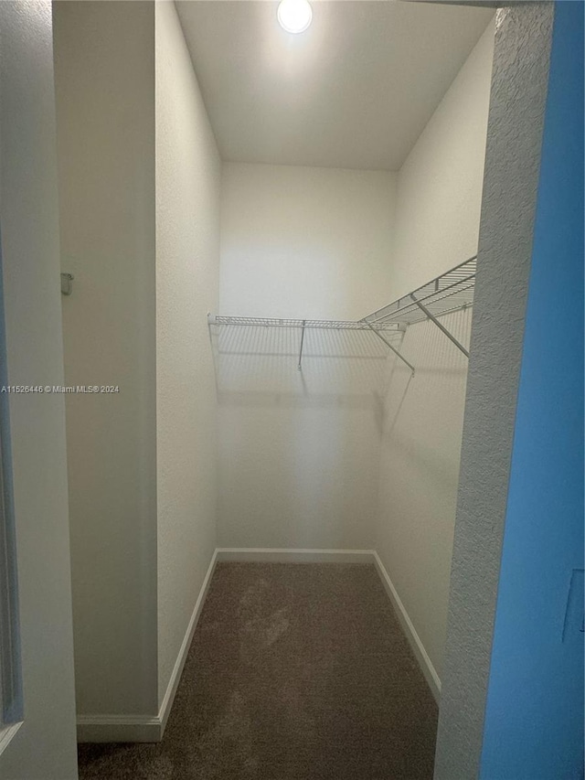 walk in closet featuring carpet floors