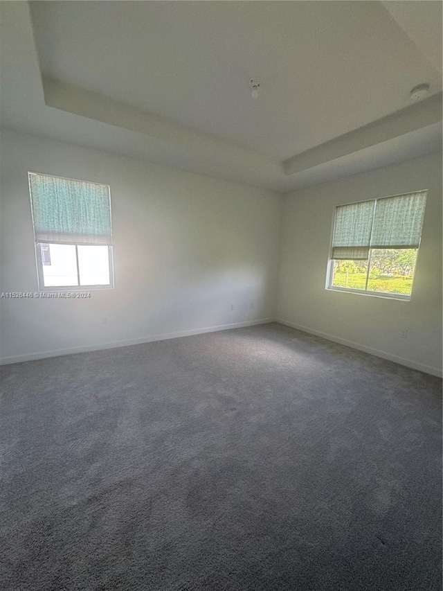 spare room featuring carpet flooring and a raised ceiling