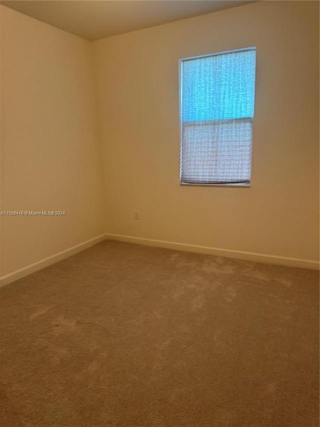 spare room featuring carpet