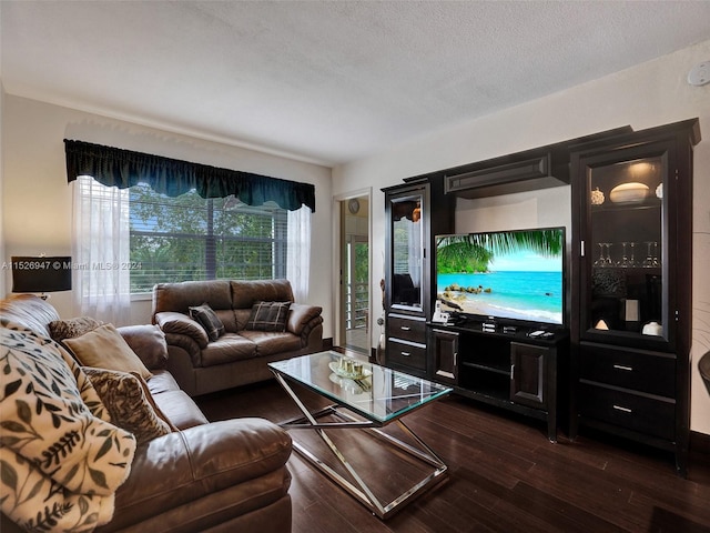 living room featuring a textured ceiling and dark hardwood / wood-style floors