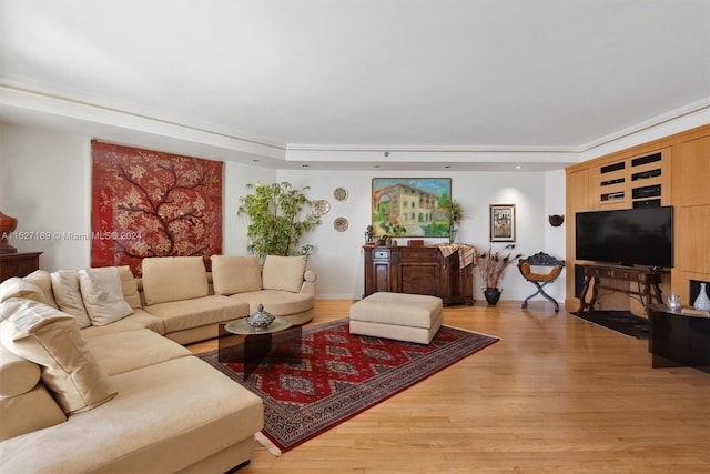 living room with light wood-type flooring