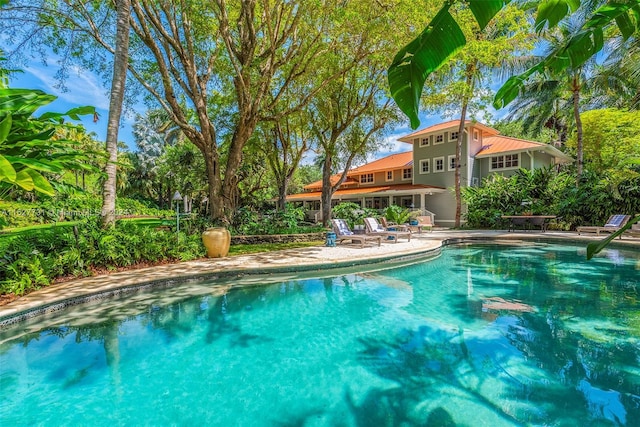 view of swimming pool with a patio