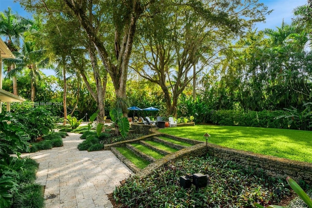 view of yard with a patio