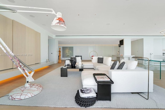 living room with wood-type flooring