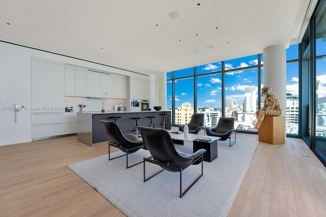 living room featuring floor to ceiling windows and light wood-type flooring