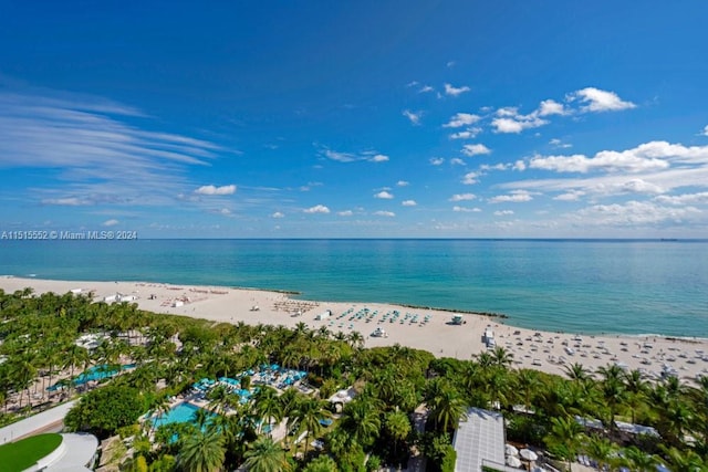 water view featuring a beach view