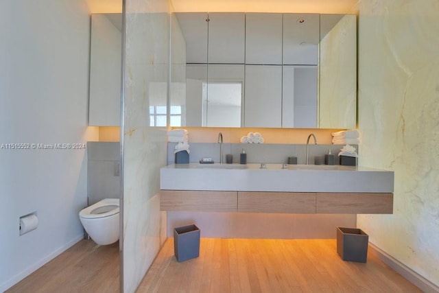 bathroom with wood-type flooring, toilet, and vanity