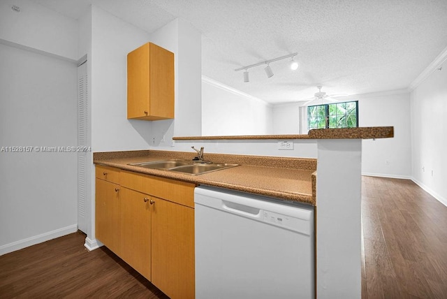 kitchen featuring a textured ceiling, rail lighting, dishwasher, sink, and dark hardwood / wood-style floors