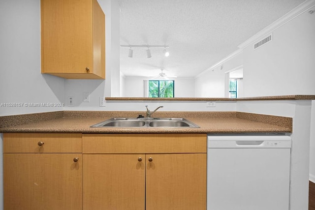 kitchen featuring dishwasher, crown molding, sink, track lighting, and a textured ceiling