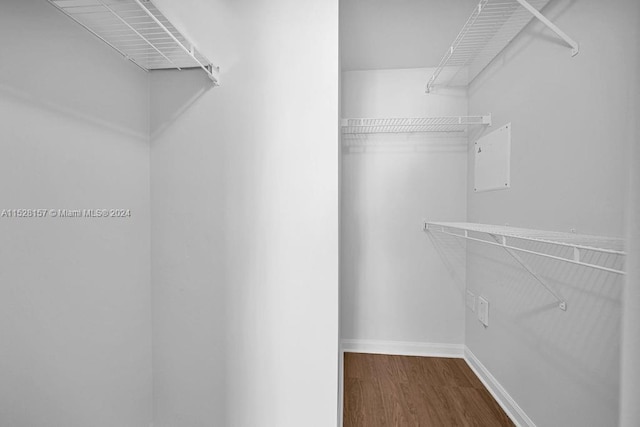 spacious closet featuring wood-type flooring