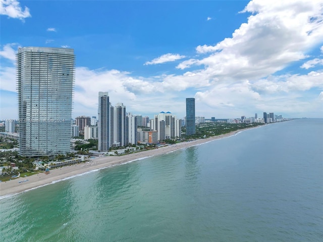 property view of water featuring a view of the beach