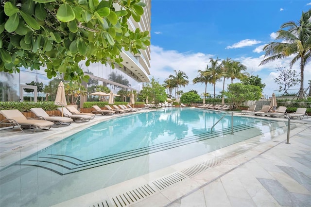 view of swimming pool featuring a patio