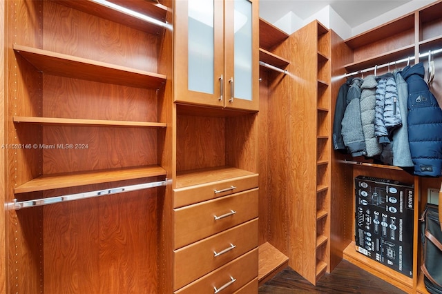 spacious closet with dark hardwood / wood-style flooring