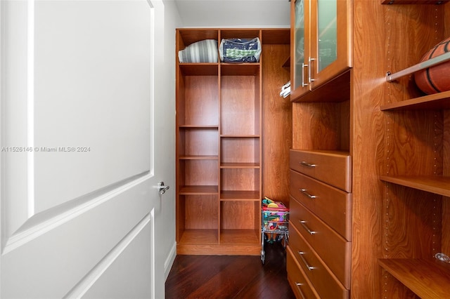 spacious closet with dark hardwood / wood-style floors