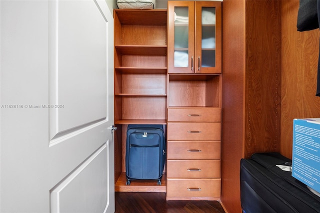 spacious closet featuring dark wood-type flooring