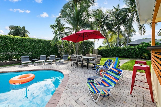 view of swimming pool with a patio area