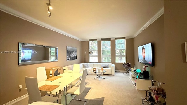 carpeted dining space with track lighting and crown molding