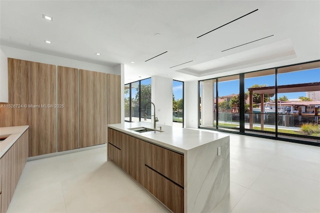 kitchen with a center island with sink, sink, floor to ceiling windows, plenty of natural light, and a tray ceiling