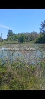 0 Richardson Blvd, Webster, FL 33597