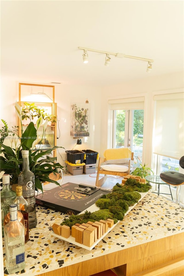 living room with rail lighting and french doors