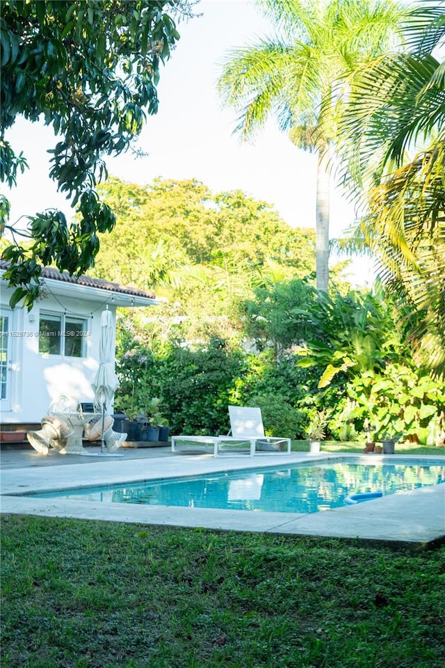 view of swimming pool featuring a yard