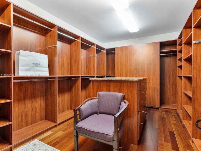 walk in closet featuring dark wood-type flooring