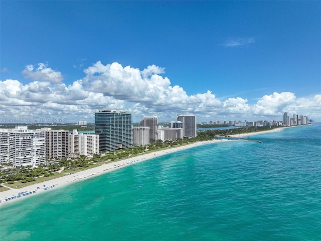 drone / aerial view with a water view and a beach view