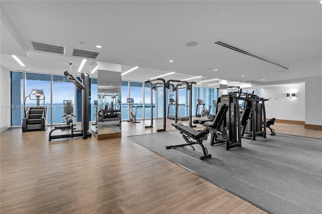 exercise room with plenty of natural light, expansive windows, light hardwood / wood-style floors, and a water view