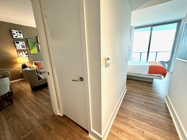 hallway featuring hardwood / wood-style flooring