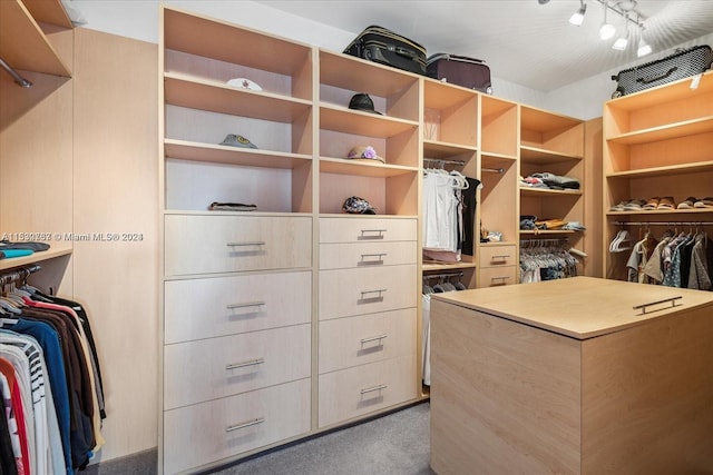 spacious closet featuring carpet flooring