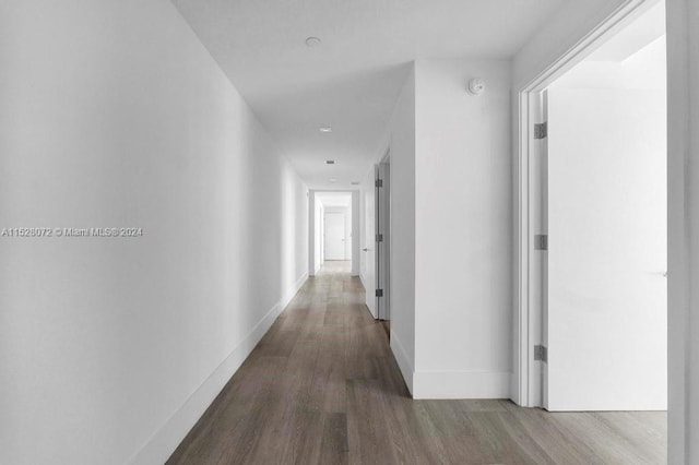 hallway featuring dark hardwood / wood-style flooring