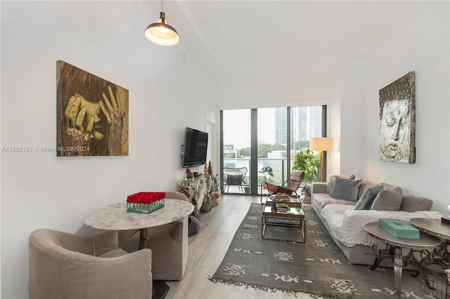 living room featuring light hardwood / wood-style floors and a towering ceiling