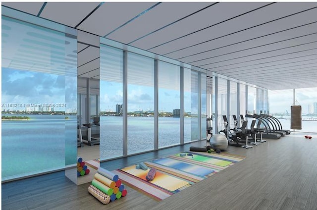 workout area with a wall of windows, hardwood / wood-style floors, and a water view