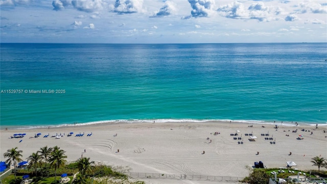 water view featuring a beach view