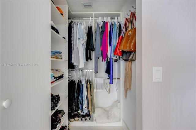 view of walk in closet