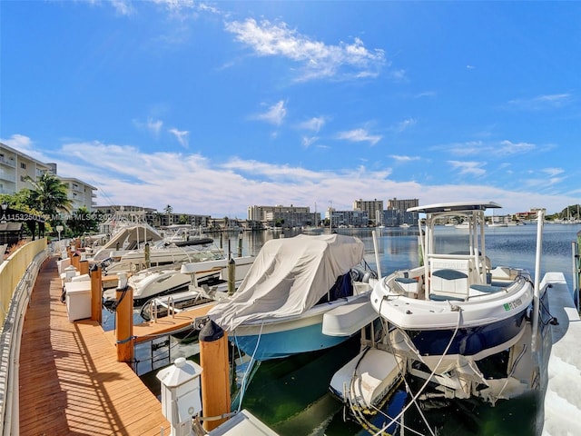 dock area with a water view