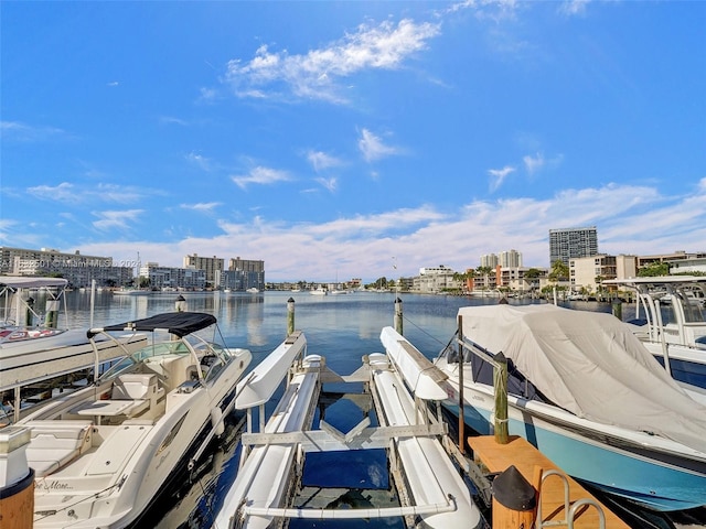 dock area with a water view