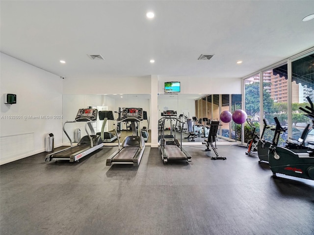 exercise room featuring floor to ceiling windows