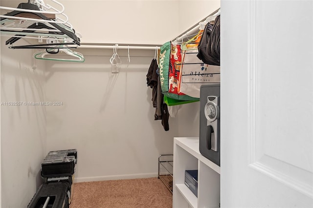 spacious closet with light carpet