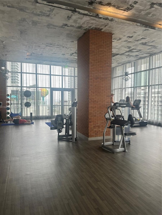 workout area featuring plenty of natural light, dark hardwood / wood-style floors, and a wall of windows